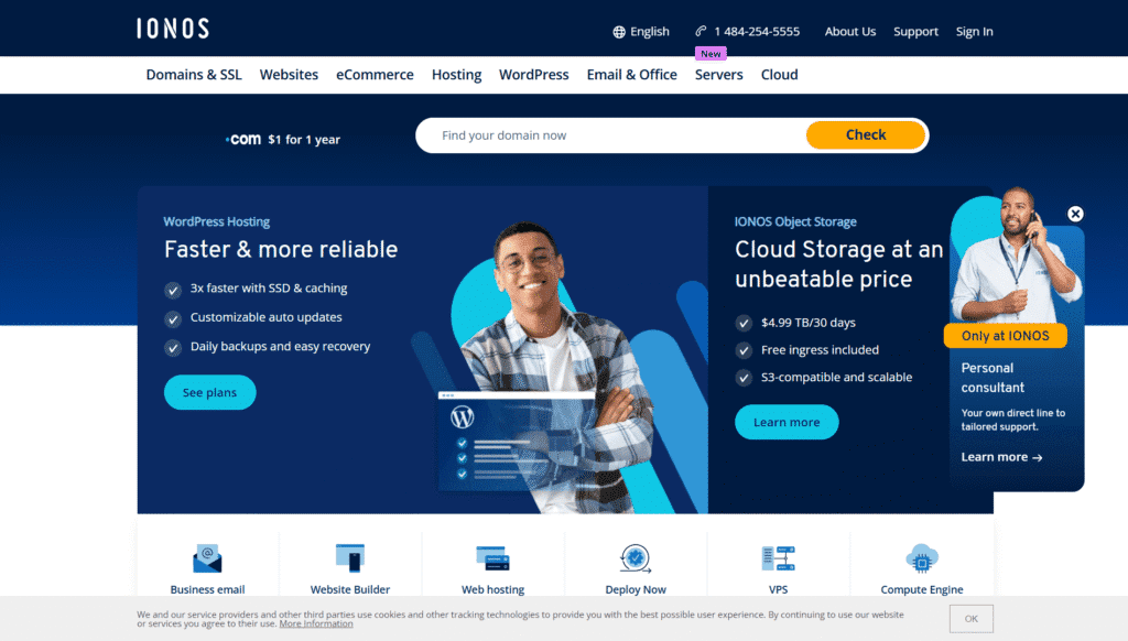 IONOS: Cheap Domains in 2025 for Short-Term Projects